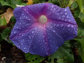 PC192849a.jpg
